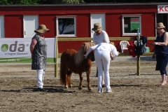 DSC00229Smal