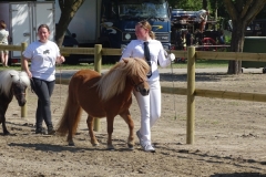 DSC00237Smal